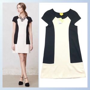 NWT Anthropologie Maeve Corby Shift Dress MEDIUM